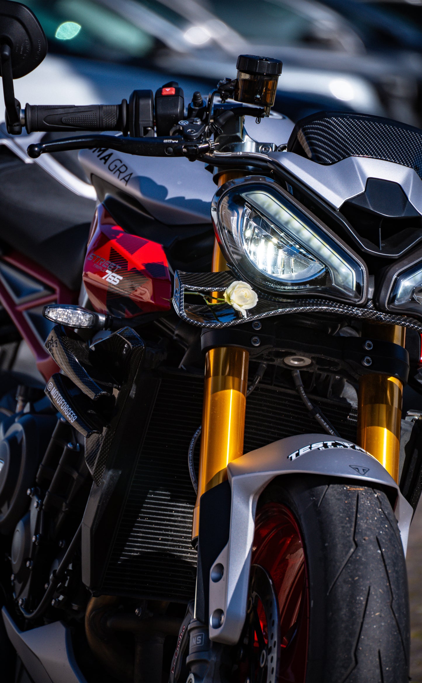 Racing Side Wings Street Triple 765 (2024– )