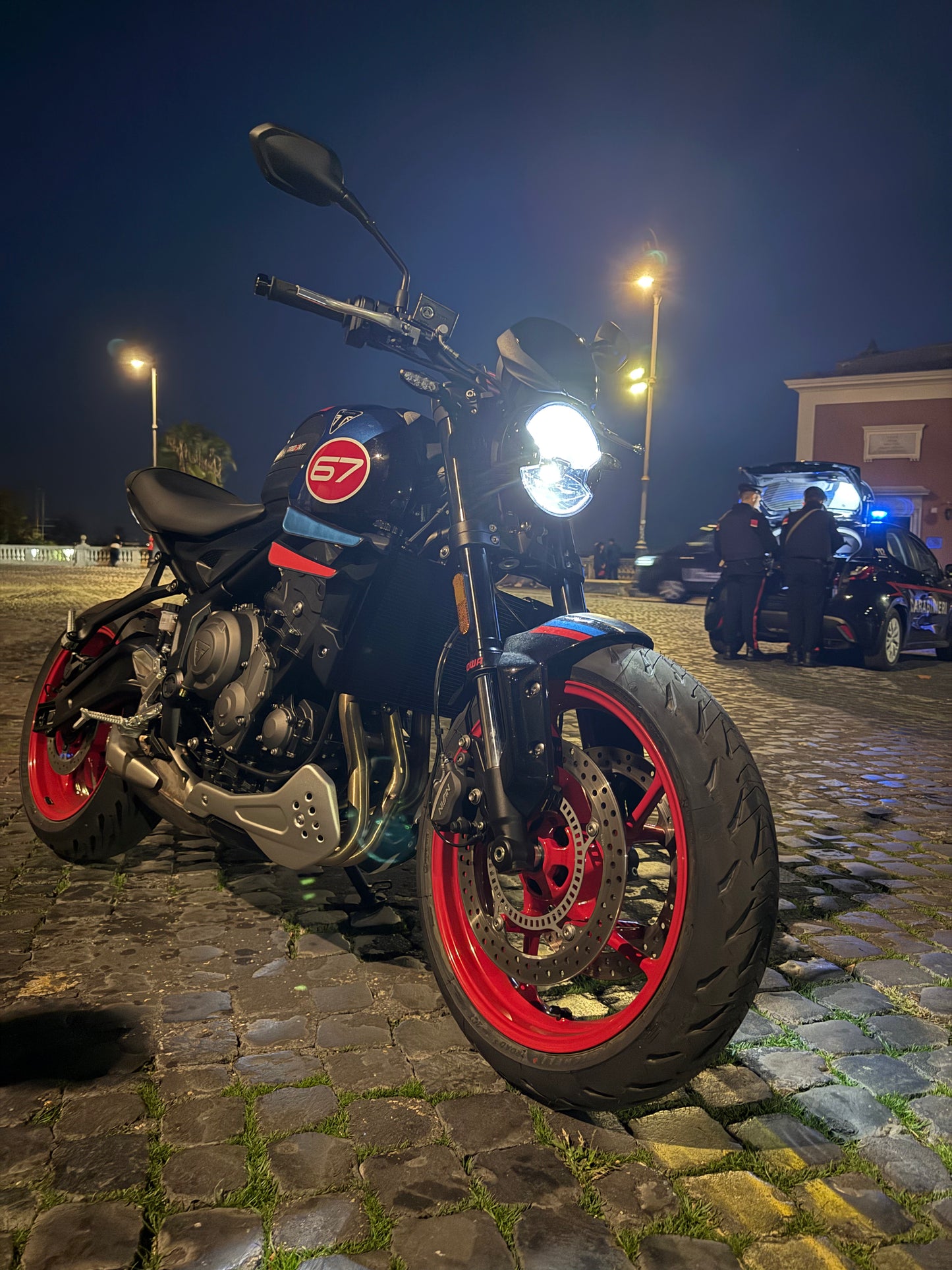 Racing Side Wings Trident 660