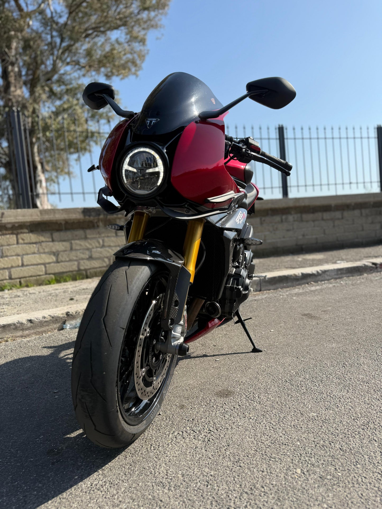 Racing Winglet Triumph Speed Triple 1200 RR