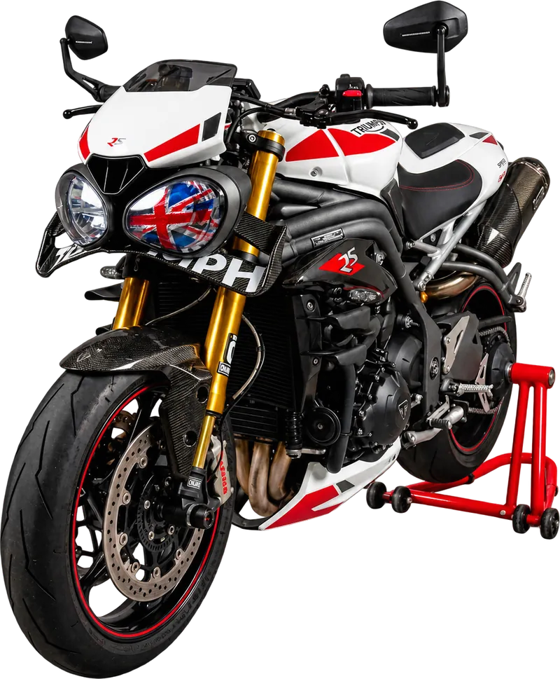 Racing Side Wings Speed Triple 1050 RS